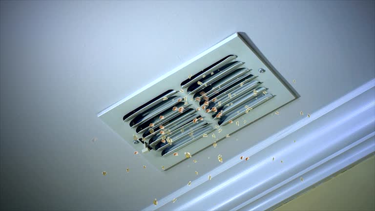 Best Air Duct Cleaning Cost  in Rinna, VA