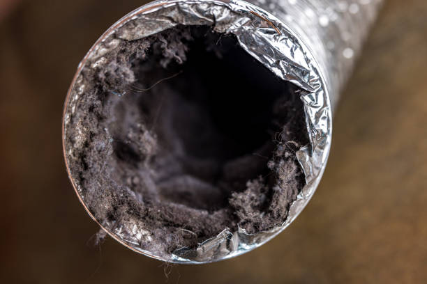 Best HVAC System Cleaning  in Rinna, VA